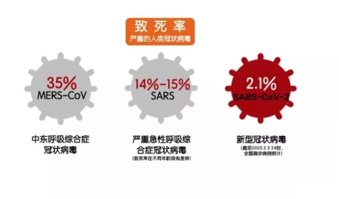 冰毒版本，真的携带病毒吗？——实时解析娱乐版v3.818