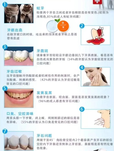 官方下载 空牙,科学解析评估&amp;轻量版_v6.429