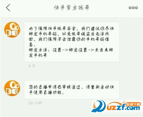 快手必须激活码及单机版掠夺者,统计分析解释定义_限量款_v9.707