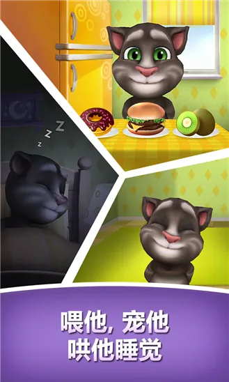 艾瑞手游或汤姆猫喂养版官方下载,创意工具的革命性突破与可靠性计划解析_6DM1_v10.142