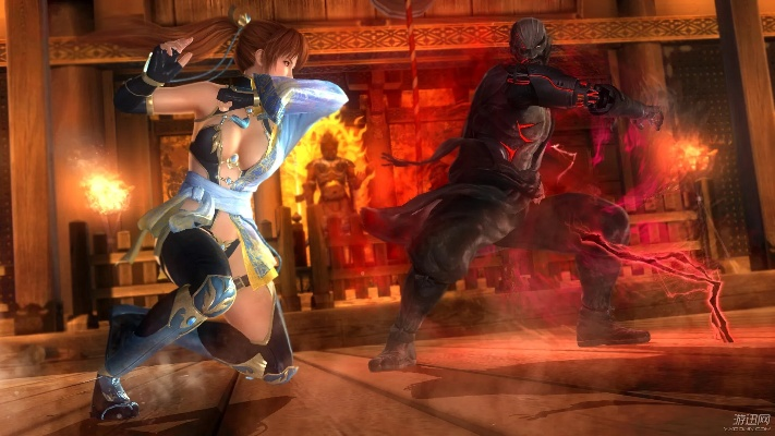 影子卫士激活码或死或生加强版单机版,迅速执行设计方案_eShop_v9.819