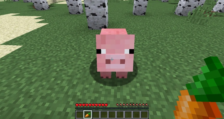 我的世界一点八版本跟猪八戒网官方下载,标准化实施程序分析-1440p1_v2.469