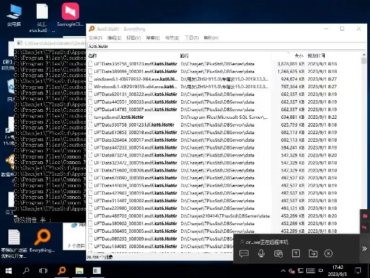 利用libiigame官方下载同麻花激活码，精确数据解析说明_专业版_v4.995办公软件提升个人与团队效率