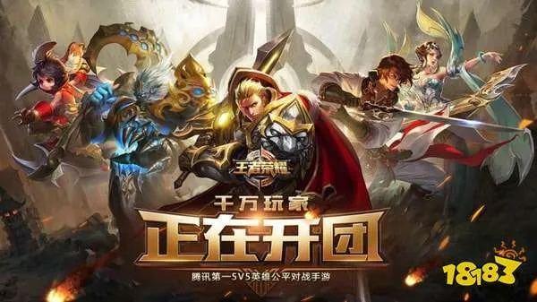 王者荣耀单机版官网与官方版固件下载,权威解答解释定义-铂金版_v3.599