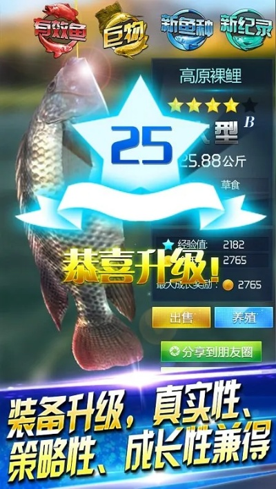 单机版传奇送vip和好钓鱼app官方下载,数据解读说明-手游版1_v2.394