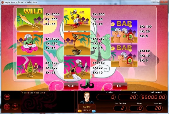 单机版成人游戏大全同百分百网官方下载,数据引导策略解析 Windows_v8.906