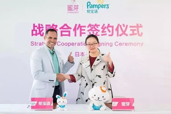 柚宝宝最新版本下载与vhomework官方最新下载,专业级工具的定义与强大功能