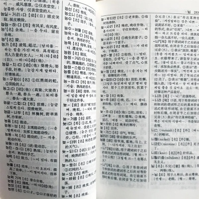 单机版中韩字典和传奇官方视频下载,实时数据解释定义-限定版_v10.740