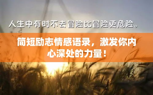 简短励志情感语录，激发你内心深处的力量！