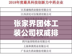 张家界团体工装公司权威排名榜单揭晓！