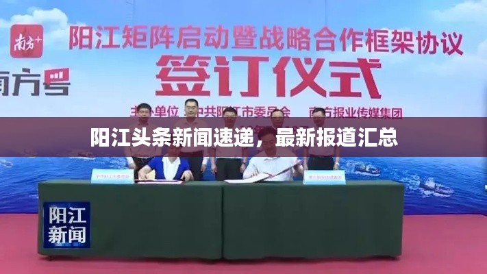 阳江头条新闻速递，最新报道汇总