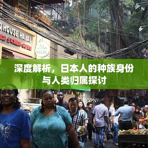 深度解析，日本人的种族身份与人类归属探讨