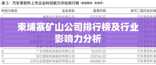 柬埔寨矿山公司排行榜及行业影响力分析