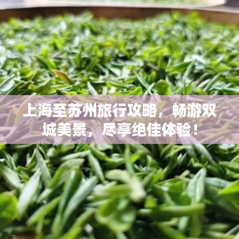 上海至苏州旅行攻略，畅游双城美景，尽享绝佳体验！
