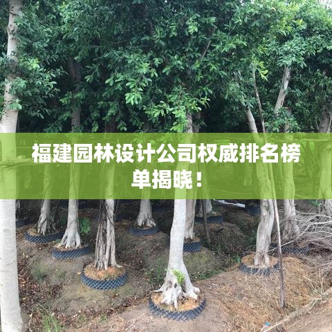 福建园林设计公司权威排名榜单揭晓！