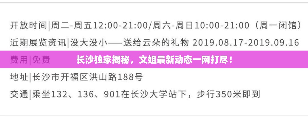 长沙独家揭秘，文姐最新动态一网打尽！
