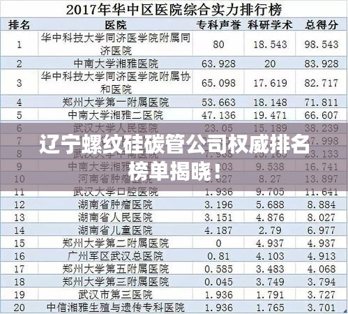 辽宁螺纹硅碳管公司权威排名榜单揭晓！