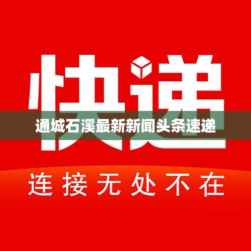 通城石溪最新新闻头条速递