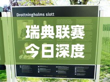 瑞典联赛今日深度解析，最新动态一网打尽