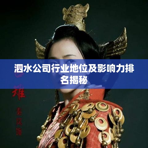 泗水公司行业地位及影响力排名揭秘