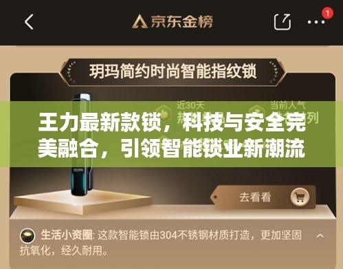 王力最新款锁，科技与安全完美融合，引领智能锁业新潮流！
