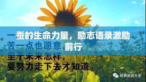 蚕的生命力量，励志语录激励前行