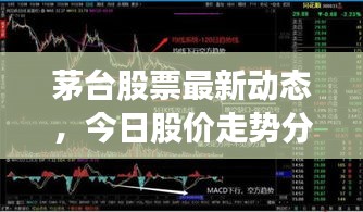 茅台股票最新动态，今日股价走势分析与展望