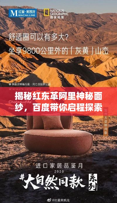 揭秘红东革阿里神秘面纱，百度带你启程探索之旅
