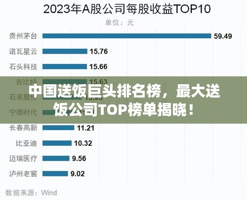 中国送饭巨头排名榜，最大送饭公司TOP榜单揭晓！