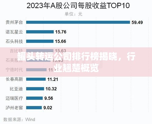 罐头转运公司排行榜揭晓，行业翘楚概览