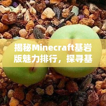 揭秘Minecraft基岩版魅力排行，探寻基岩版独特吸引力