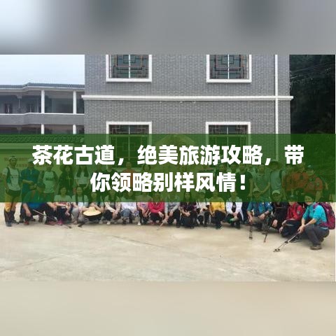 茶花古道，绝美旅游攻略，带你领略别样风情！