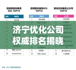 济宁优化公司权威排名揭晓，行业深度洞察报告