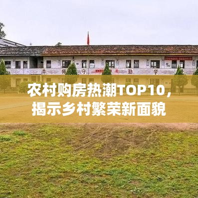 农村购房热潮TOP10，揭示乡村繁荣新面貌