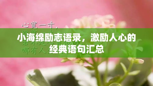 小海绵励志语录，激励人心的经典语句汇总