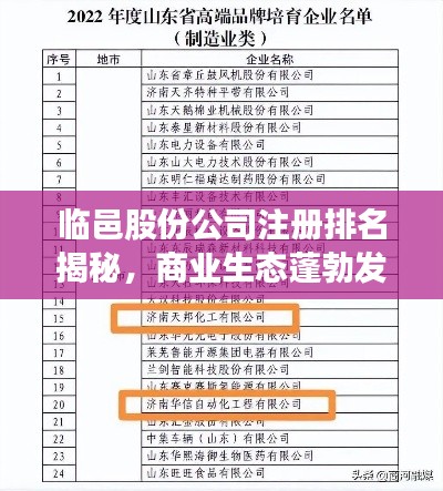 临邑股份公司注册排名揭秘，商业生态蓬勃发展，引领行业新风向！