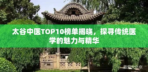 太谷中医TOP10榜单揭晓，探寻传统医学的魅力与精华