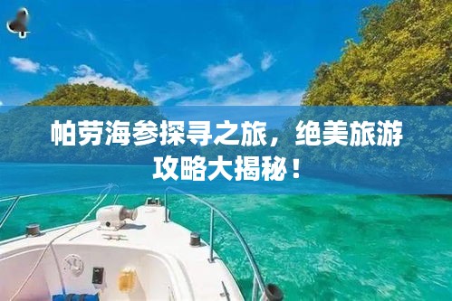 帕劳海参探寻之旅，绝美旅游攻略大揭秘！