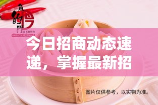 今日招商动态速递，掌握最新招商资讯