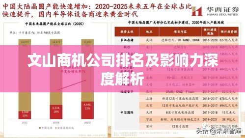文山商机公司排名及影响力深度解析