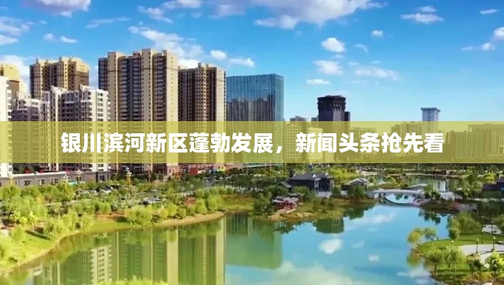 银川滨河新区蓬勃发展，新闻头条抢先看