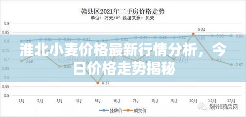 淮北小麦价格最新行情分析，今日价格走势揭秘