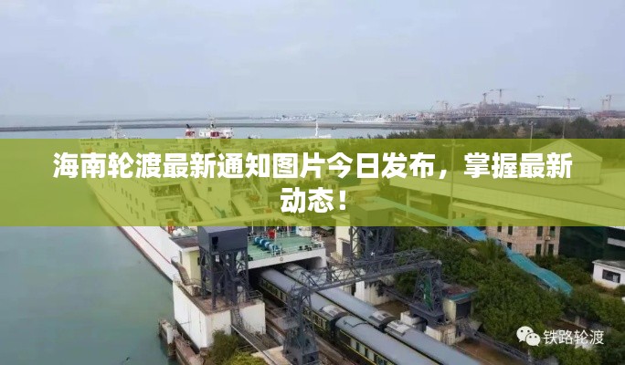 海南轮渡最新通知图片今日发布，掌握最新动态！