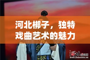 河北梆子，独特戏曲艺术的魅力