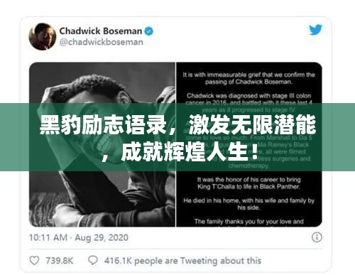 黑豹励志语录，激发无限潜能，成就辉煌人生！