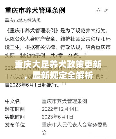重庆大足养犬政策更新，最新规定全解析