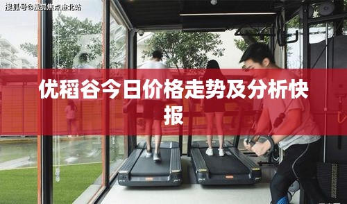 优稻谷今日价格走势及分析快报