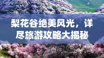 2025年5月20日