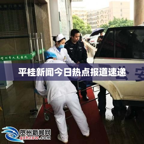 平桂新闻今日热点报道速递