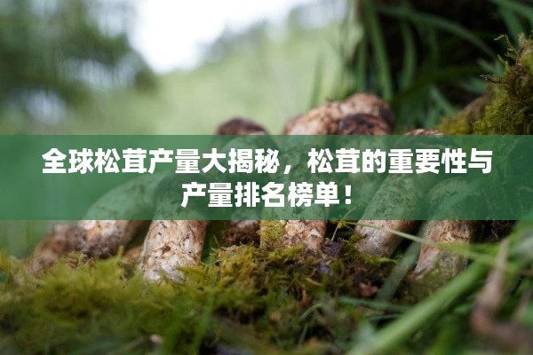全球松茸产量大揭秘，松茸的重要性与产量排名榜单！